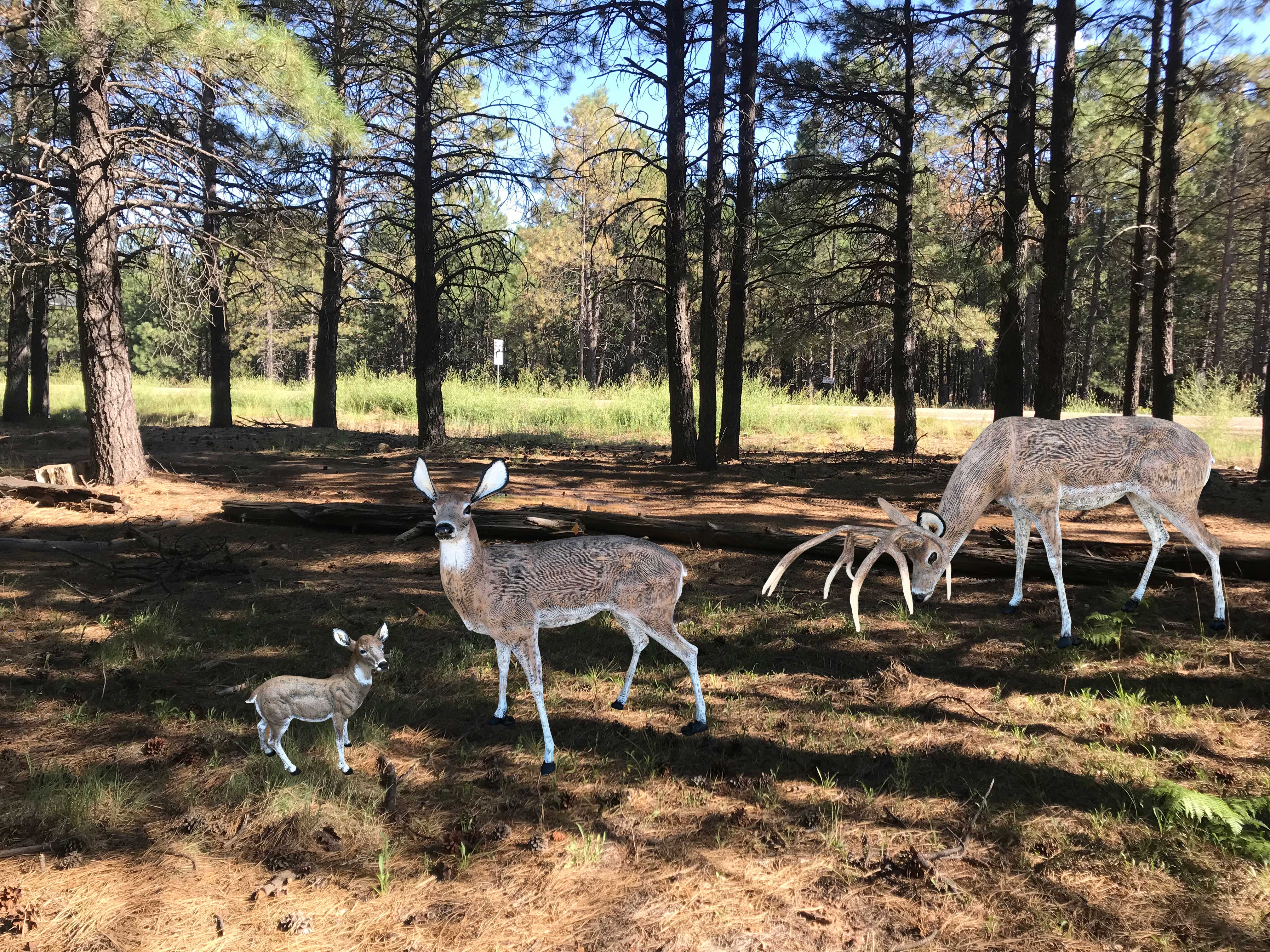 AS FAMILYCP SET C -1650