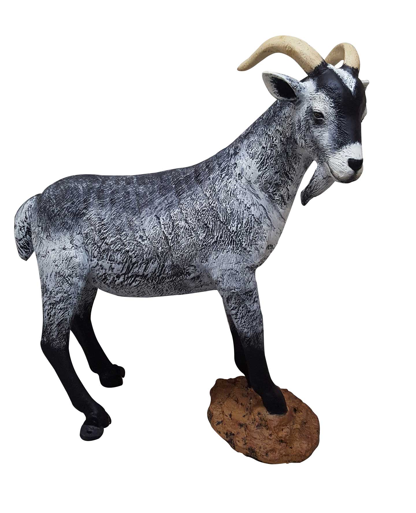 Goat-on-Rock--cp